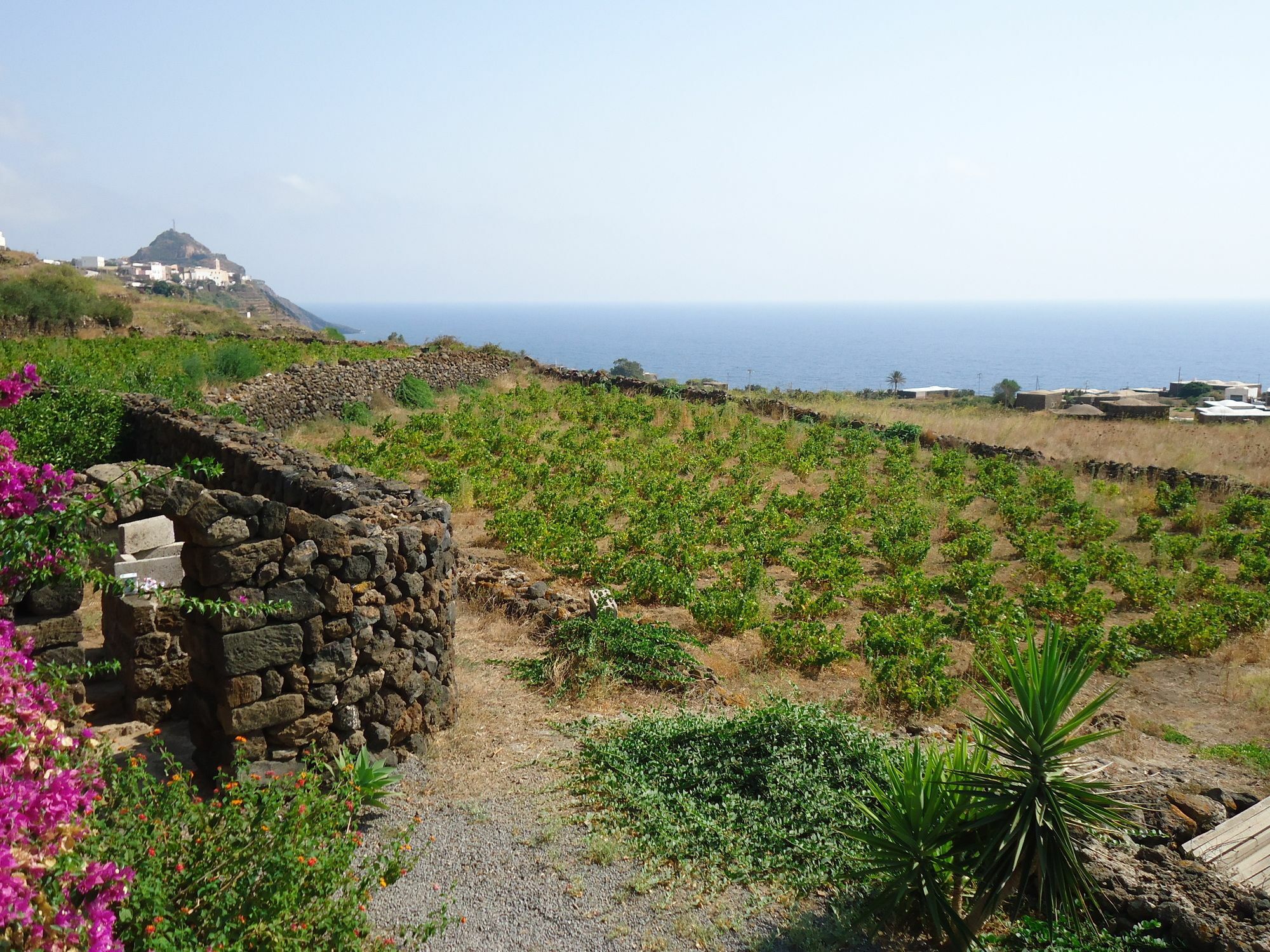 Agriturismo Zibibbodoro Scauri  Kültér fotó